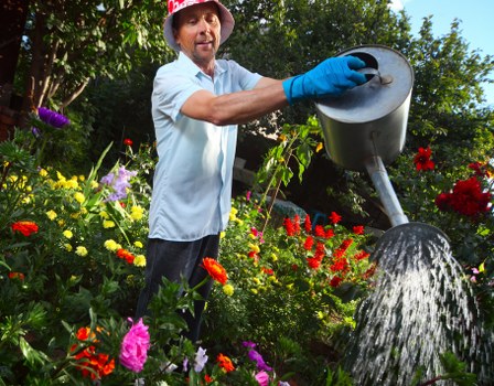 Expert gardener trimming hedges in Euston
